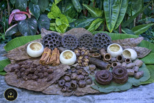 Large Botanical Box PLUS – 150L