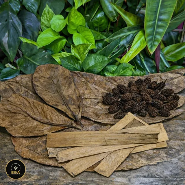 Leaf Litter + Tannins Starter Bundle – Catappa, Banana & Alder Cones Pack
