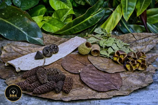 Nano Blackwater Botanical Box – up to 30L product image