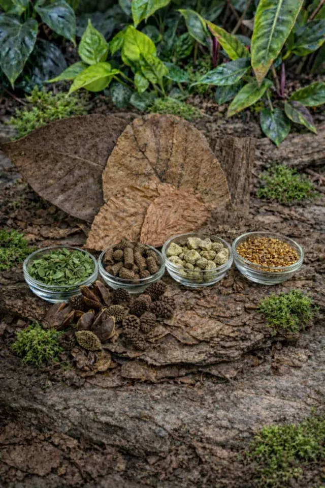 Shrimp Snail Pleco Food & Botanical Bundle product image