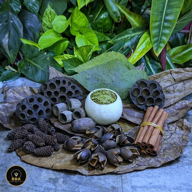Small Blackwater Botanical Box – up to 60L product image