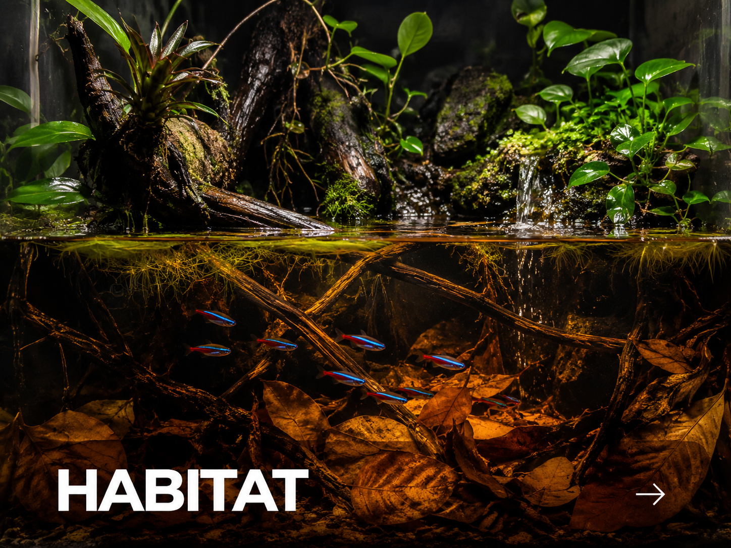 Aquarium ROOT TABS PRO habitat habitat story