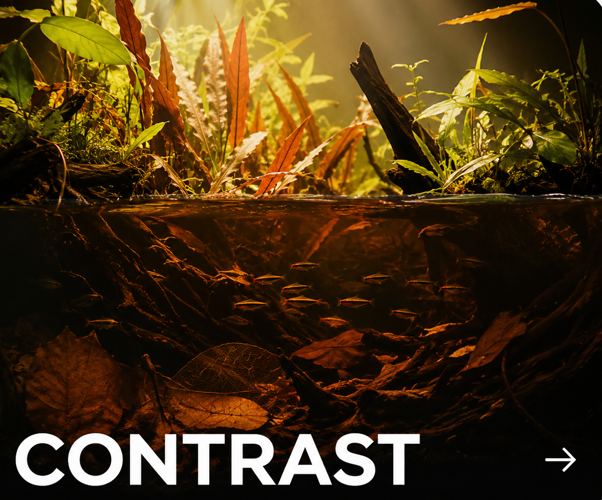 Aquarium ROOT TABS PRO cover habitat story