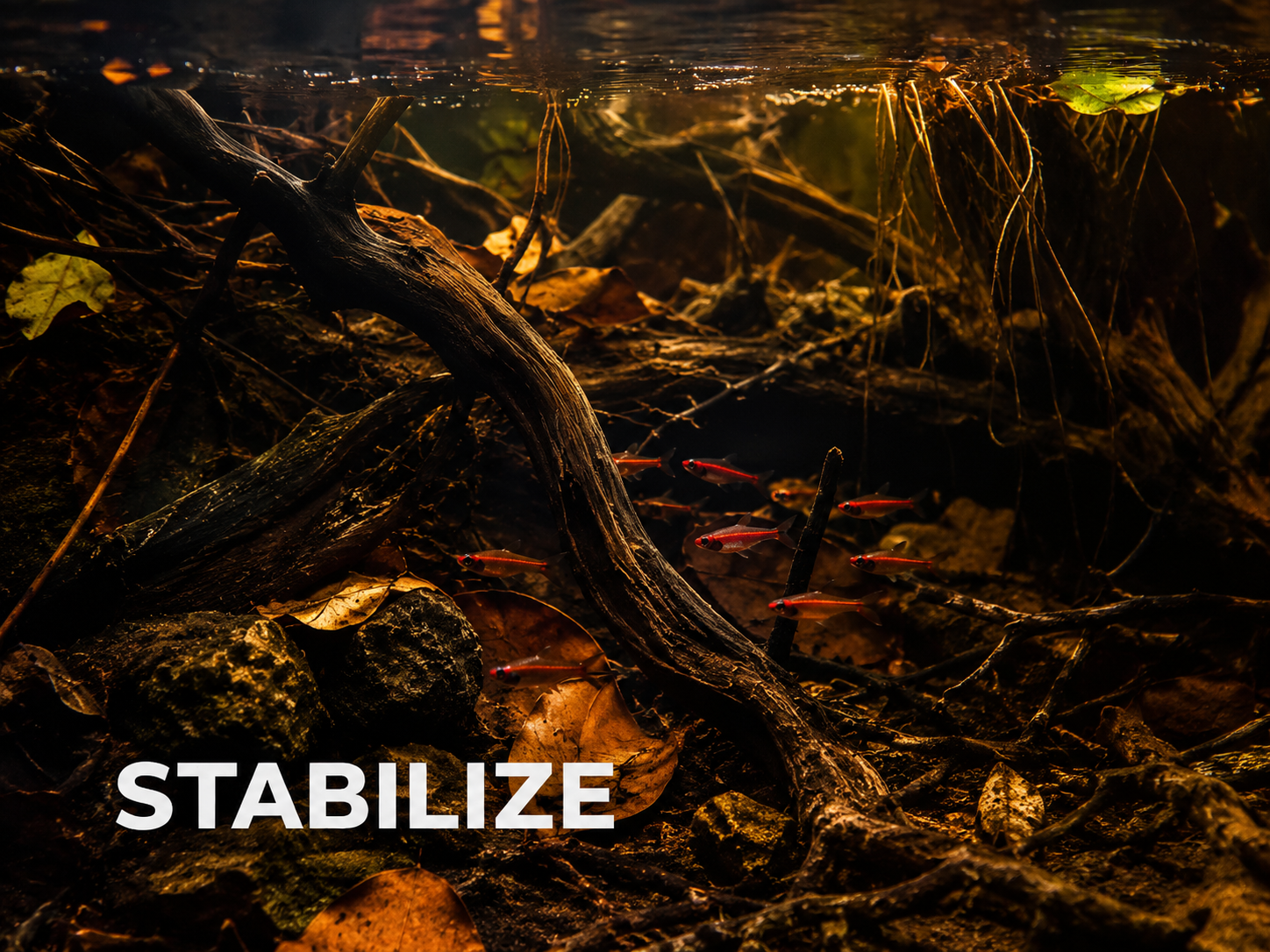 Aquarium ROOT TABS PRO blend in habitat story