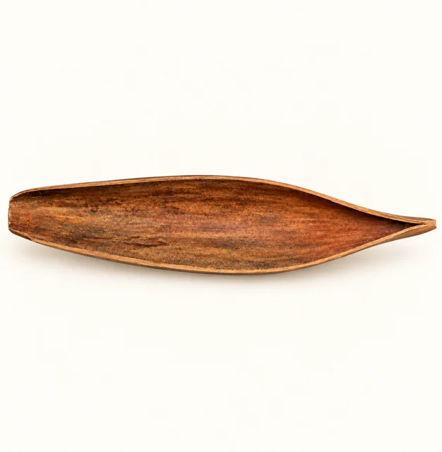 BBA catalogue photograph: Coco Boat – Dried Coconut Flower Spathe (Cocos nucifera)