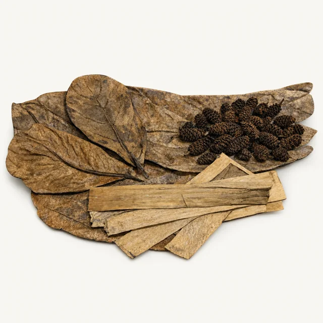 BBA catalogue photograph: Leaf Litter + Tannins Starter Bundle – Catappa, Banana & Alder Cones Pack