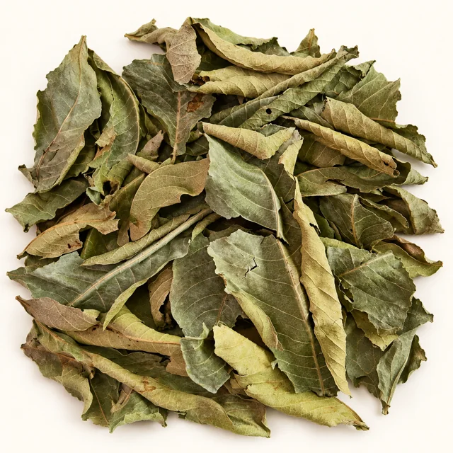BBA catalogue photograph: Dried Mango Leaves – Natural Aquarium Leaf Litter