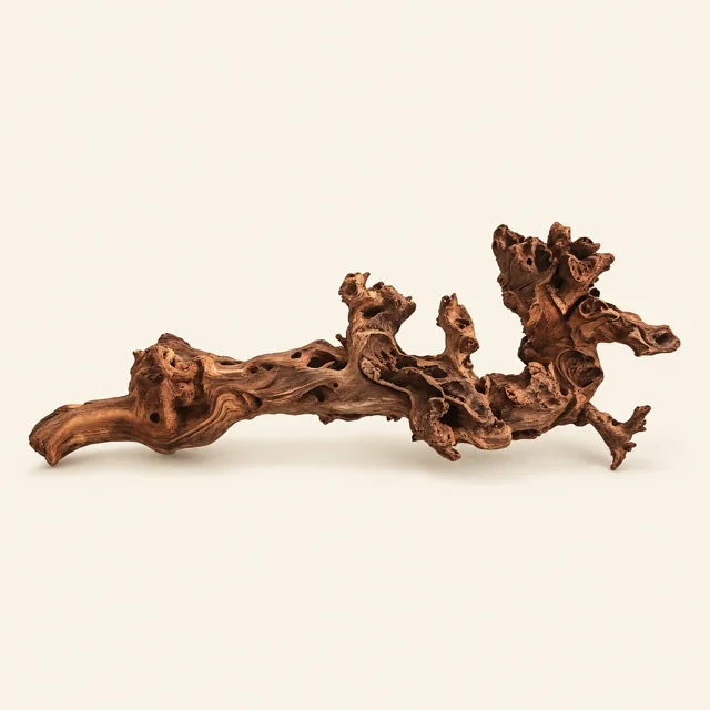 BBA catalogue photograph: Natural Gnarled Root Driftwood – Sculptural Aquarium & Terrarium Hardscape