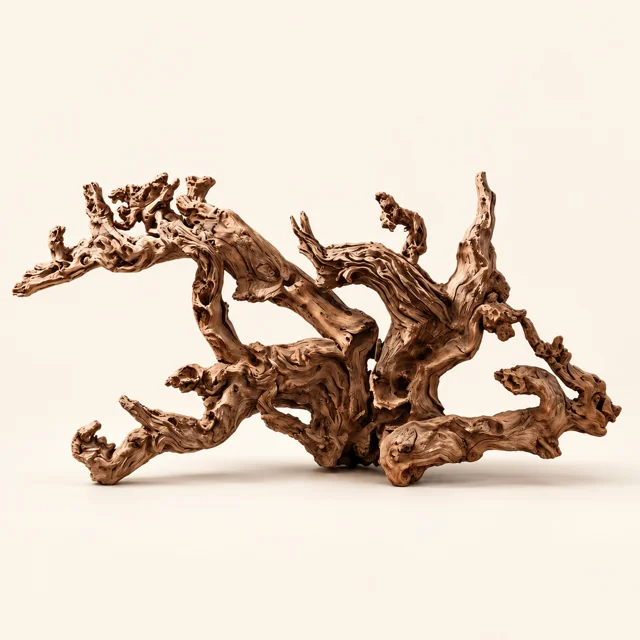 BBA catalogue photograph: Natural Coral-Style Driftwood – Sculptural Branching Wood, 19–24 cm, 26–30 cm or 35–40 cm