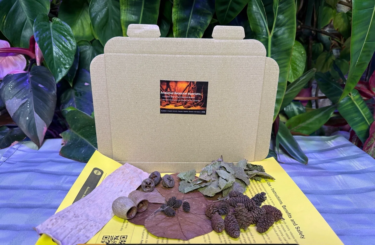 Branded Blackwater Botanical Aquariums box displayed with botanicals and leaf litter.